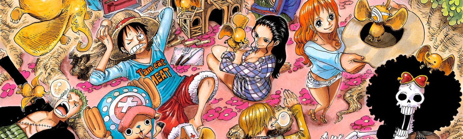 decorations la boutique one piece